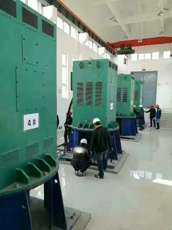YKK5602-4某污水处理厂使用我厂的立式高压电机安装现场